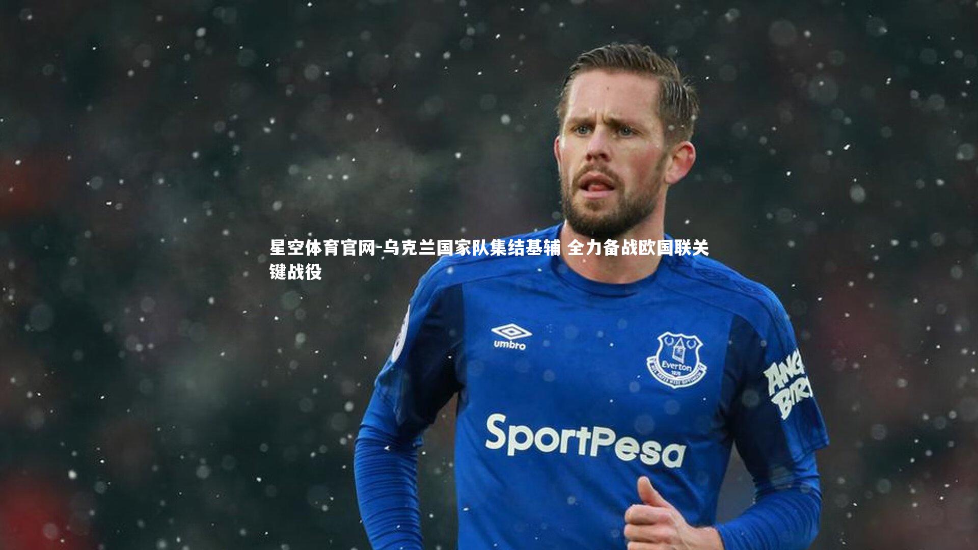 乌克兰国家队集结基辅 全力备战欧国联关键战役